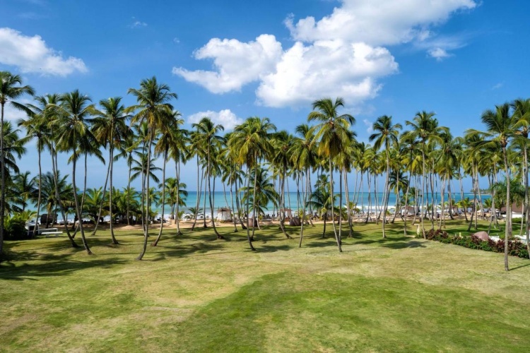 Viva V Samana by Wyndham, A Trademark Adults All Inclusive photo 24
