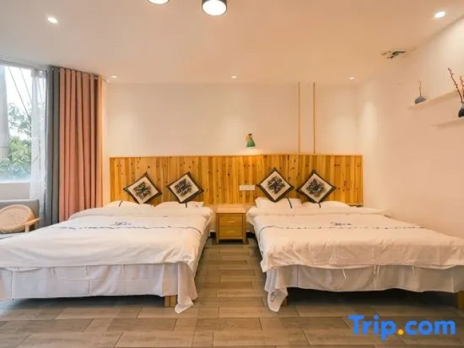 Standard Double room with street view