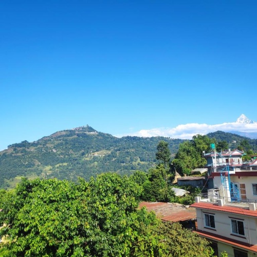 Lila Homestay