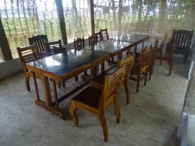Paddy Homestay