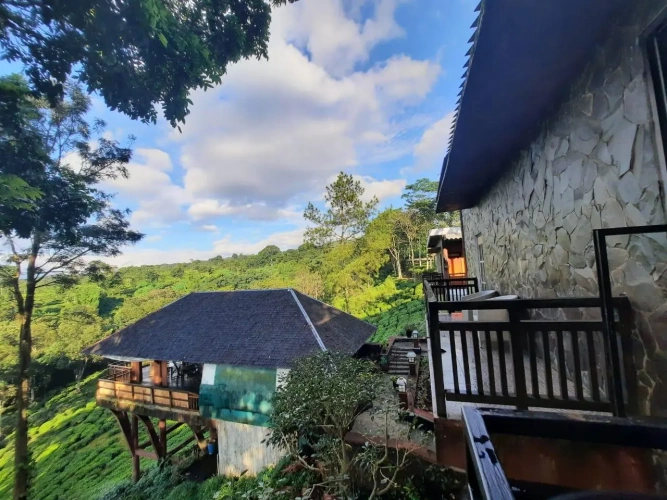 Deluxe Double room with garden view
