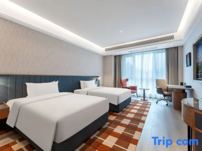 Executive Twin room with city view