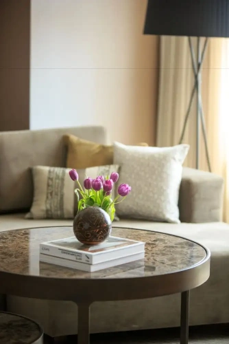 1 Bedroom Presidential Suite
