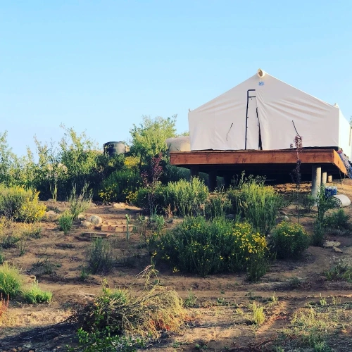 Tent