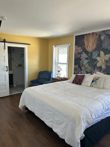 1 Bedroom Classic Double room