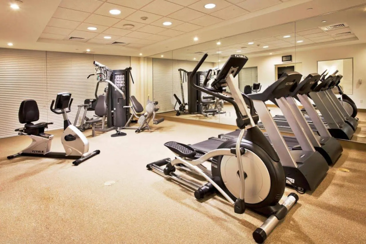 DoubleTree by Hilton Sarasota Bradenton Airport photo 26