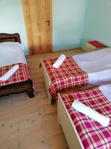Standard Double room with balcony and with mountain view