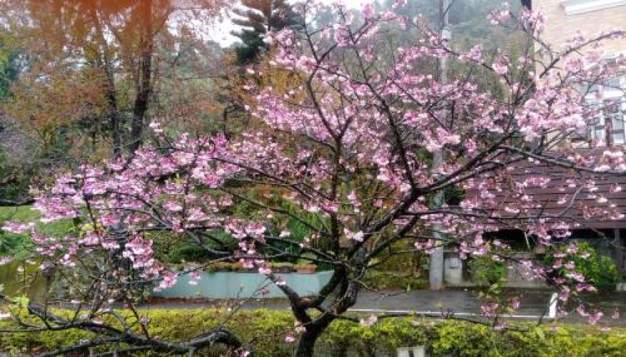 Outside