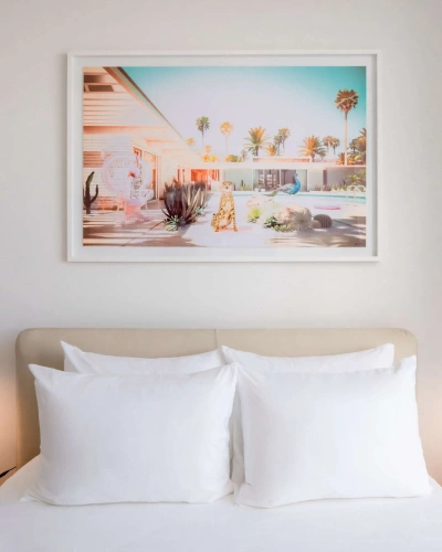 1 Bedroom PAD