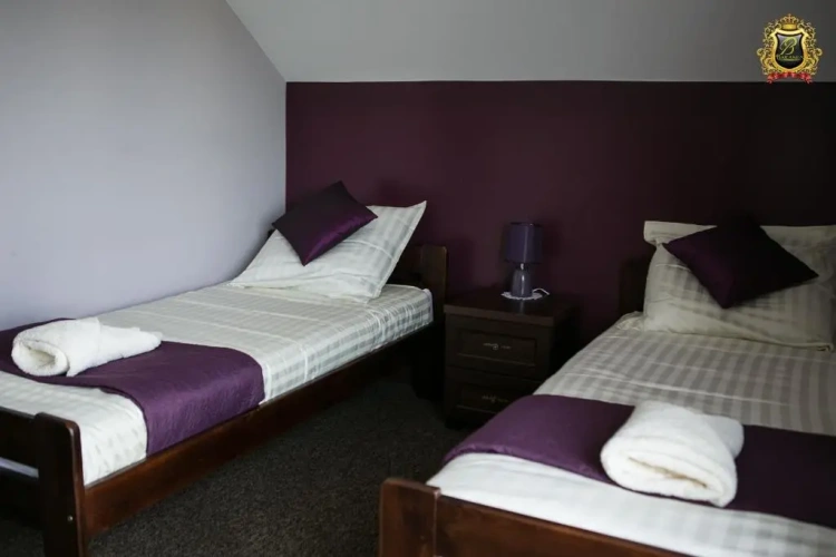 Standard Double room with balcony and with view