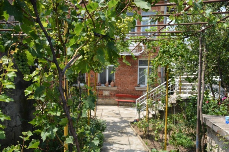 Outside