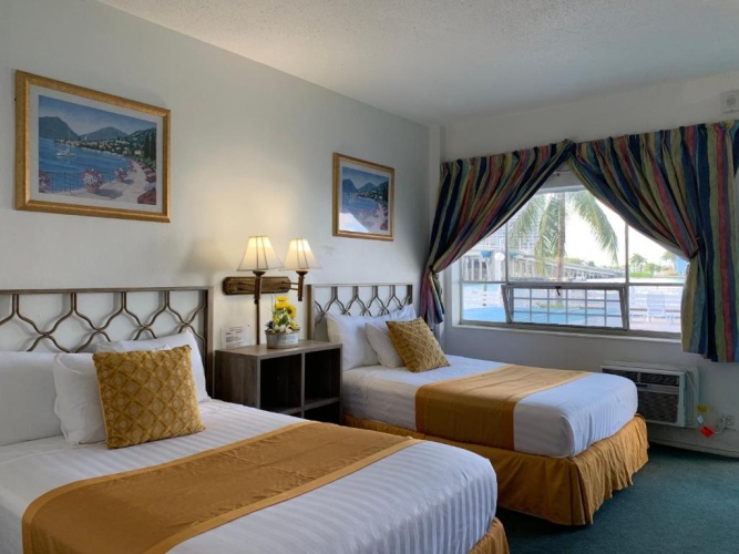 Standard Double room with pool view