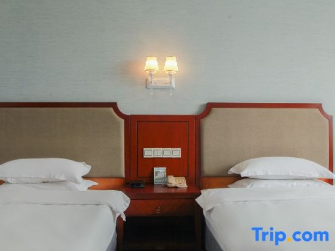 Executive Twin room with city view