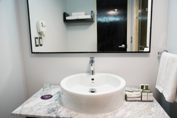 LaiLa Hotel CDMXOver view