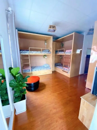 Bed in Dorm