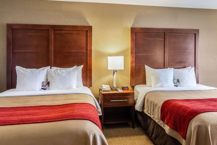 Standard Quadruple room