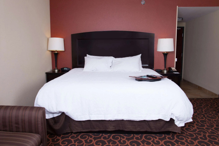 Hampton Inn & Suites Dickinson
