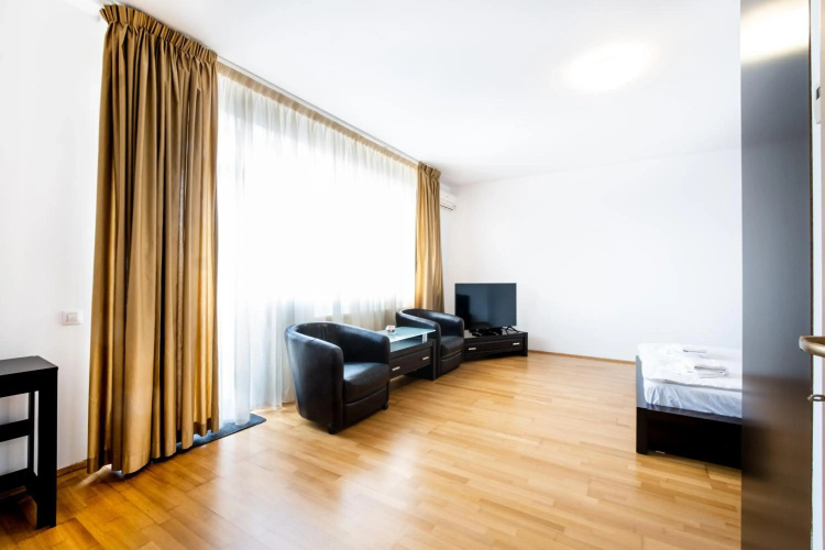 Luxury Studio Aviatiei