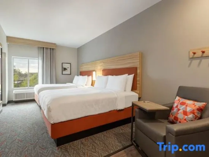 1 Bedroom Suite