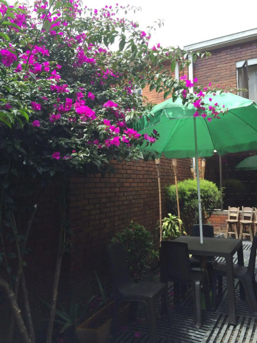 Violeta Park Hostel