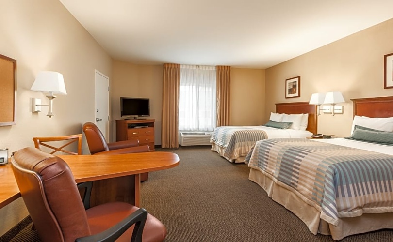 1 Bedroom Twin Suite