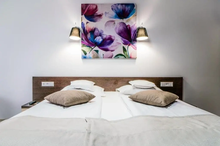 Superior Double room with balcony and with view