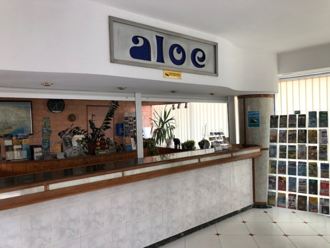 Lightbooking - Aloe Playa