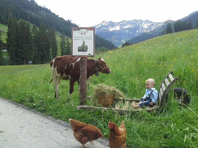Ferienhaus Larch