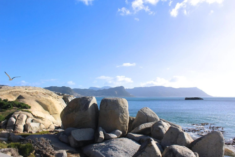 Boulders Beach House