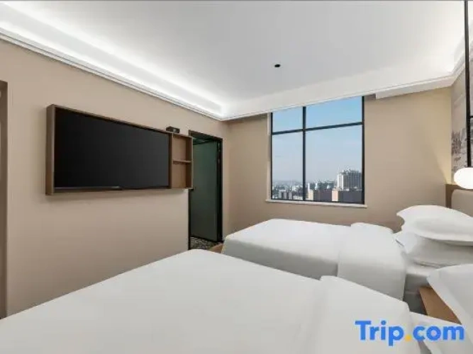 Twin Suite