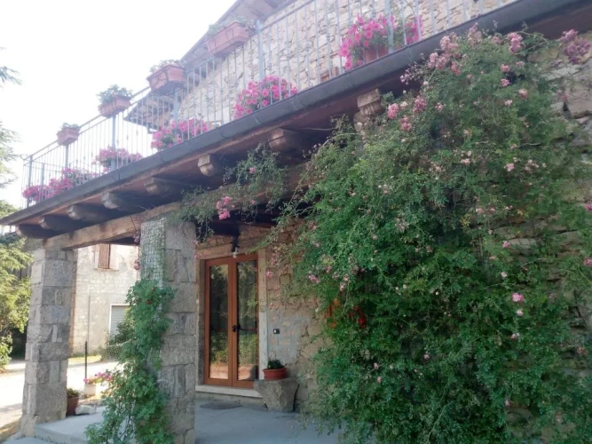 Deluxe room with balcony and with view