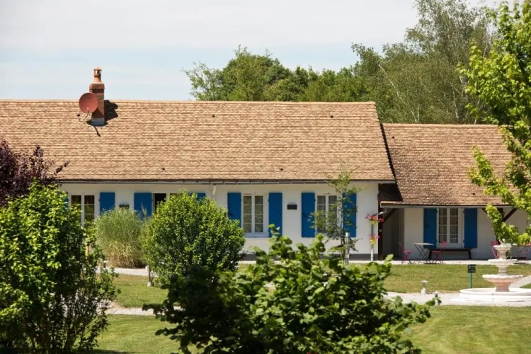 Standard Double room with garden view