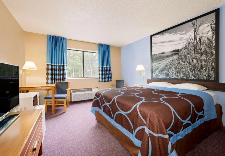 Standard Double room