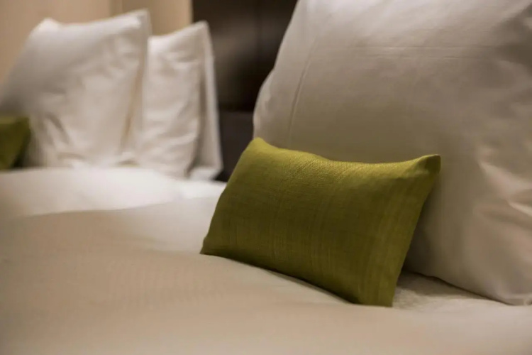 Hotel Ryumeikan Ochanomizu Honten
