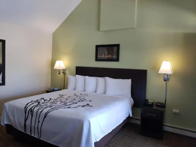 Standard room