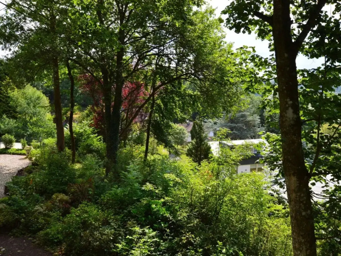 Strotzbusch Forest Hideaway