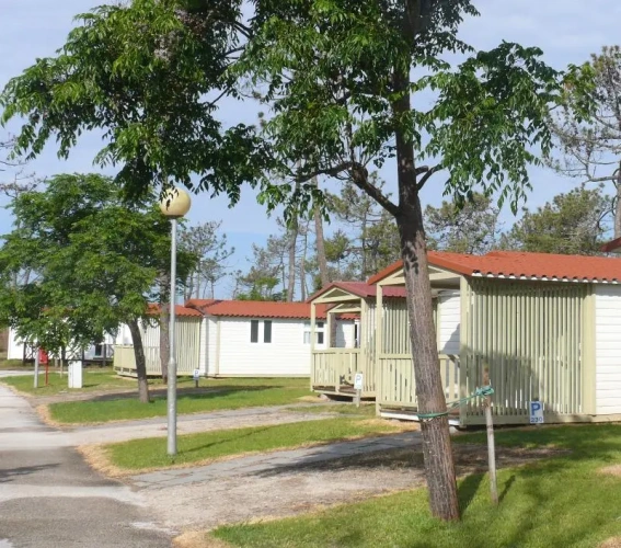 Bungalow