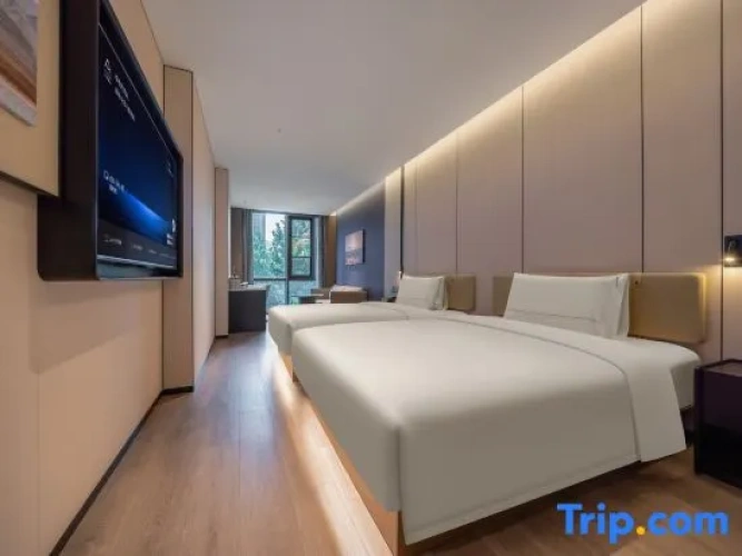 Standard Double room with city view