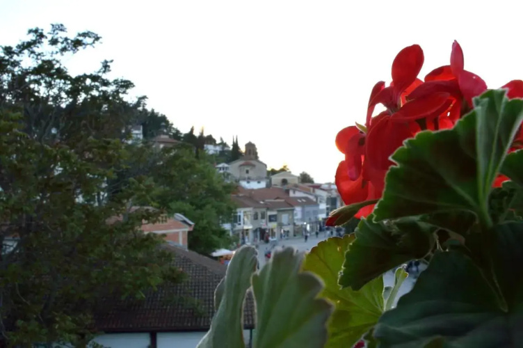 Vila Mostrovi