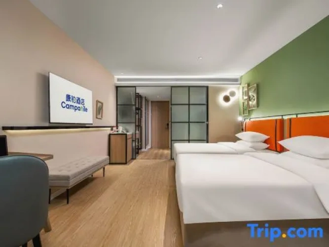 Standard Twin room with city view