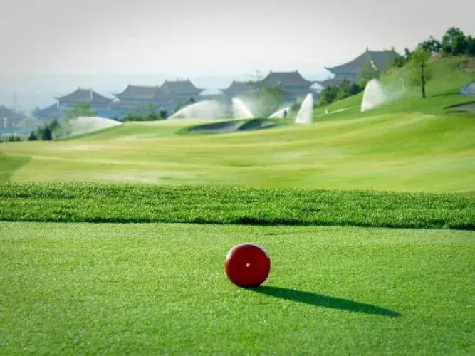 Canghai Golf art Hotel