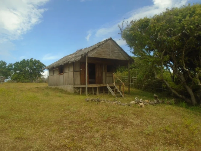 Double Bungalow with balcony and with sea view