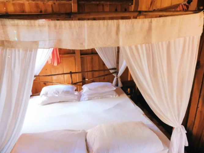 Standard Double room with garden view