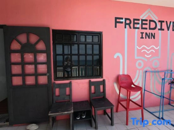 FreeDive Inn