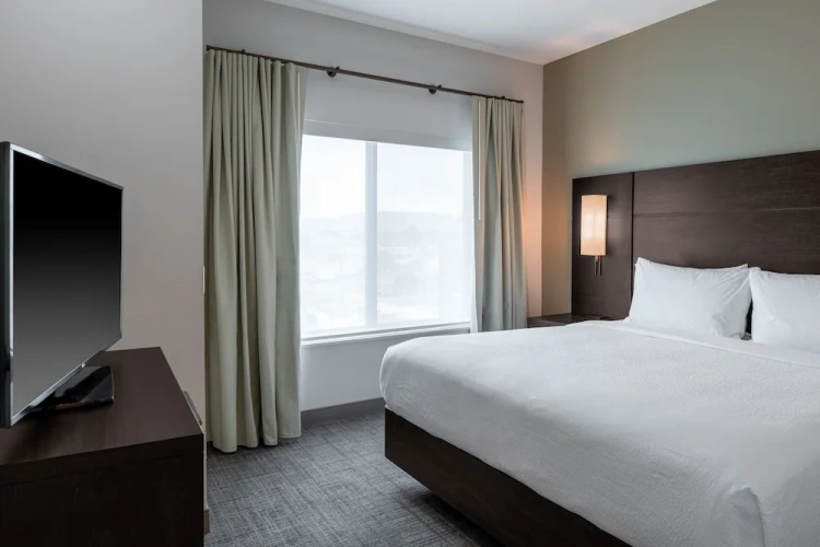1 Bedroom Suite