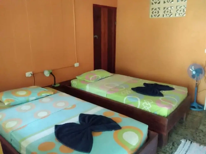 Standard Twin room with view