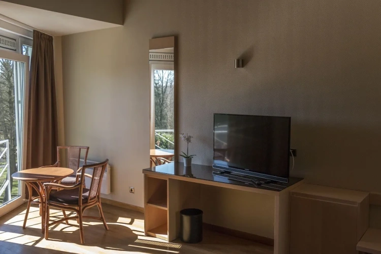 Standard Duplex room