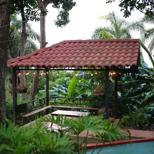 Standard Double room with garden view