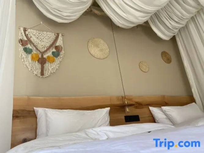 Standard Twin room with mountain view