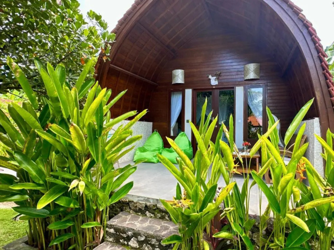 Jungle Paradise